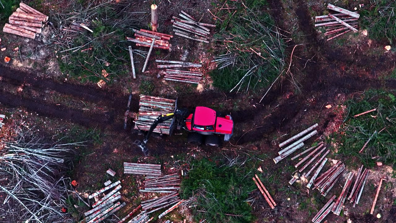 Tractor hauling lumber logs through a clear-cut area, deforestation in aerial overhead view