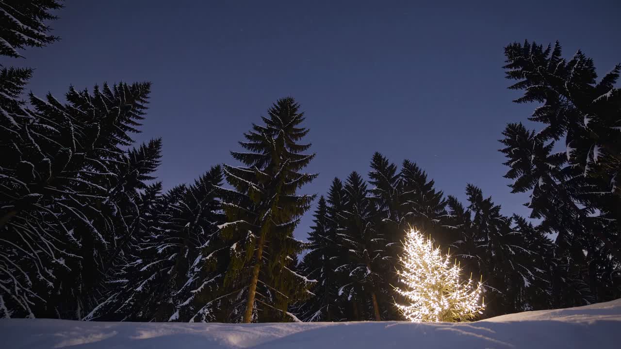 A low-angle video captures a glowing tree in a snowy forest at dusk, surrounded by tall, dark pines