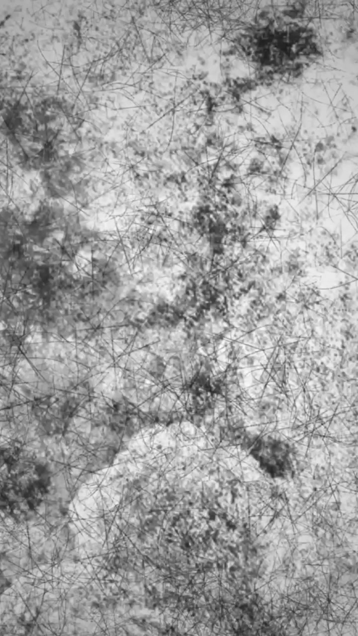 Animazione di forme nere che si muovono su sfondo bianco