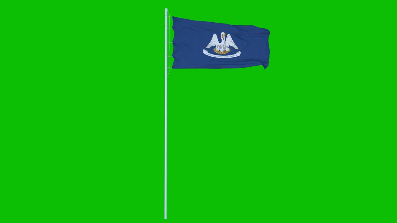 녹색 화면 또는 크로마 키 배경에서 바람에 흔들리는 루이지애나 주 발.