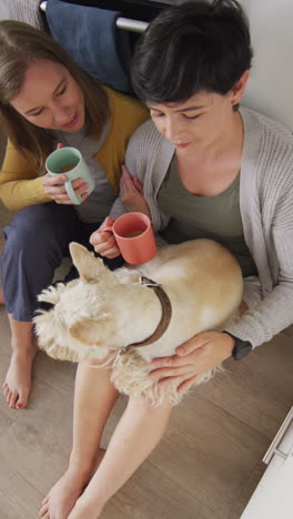 video vertical de una feliz pareja de lesbianas caucásicas bebiendo café con un perro en casa