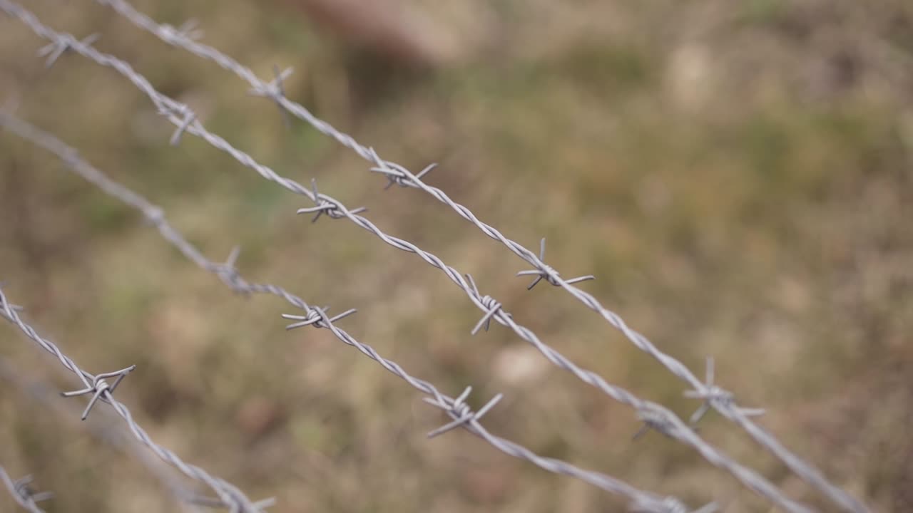 가시 전선 - 느린 영상