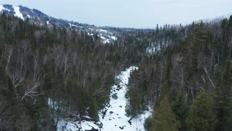aerial flyover person walking on bridge over frozen river in winter snow pine tree forest in national park