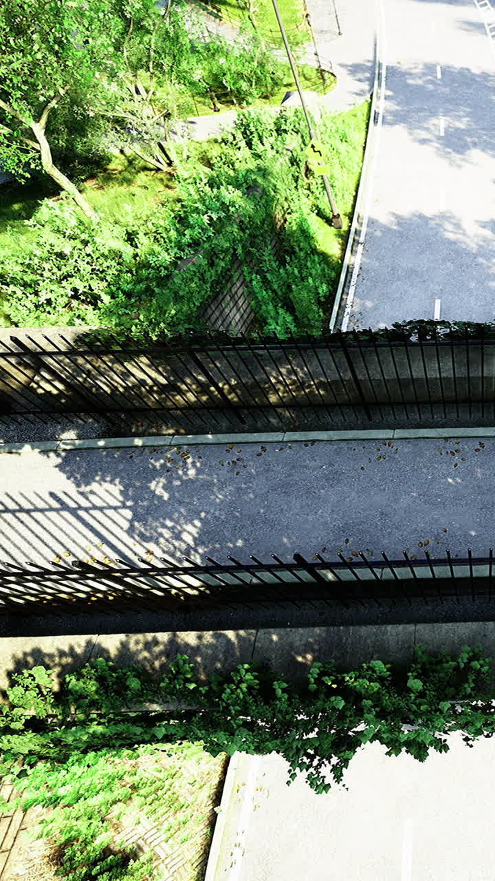 View of a quiet road with green trees and sunlight on asphalt surface