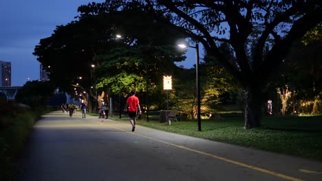 nighttime park trail with people walking and biking