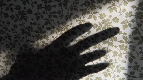 shadow of female hand reflected on wall with vintage, floral wallpaper