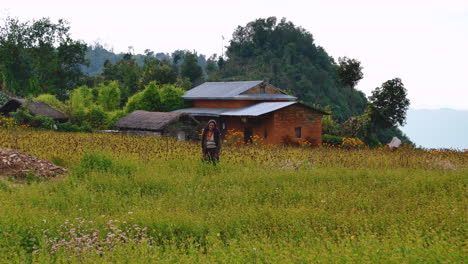 Nepali-grand-mother-in-millet-farm-and-traditional-house-drone-shot-4K