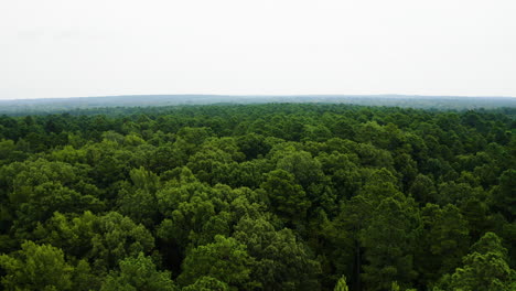 Low-aerial-push-in-above-dense-green-summer-forest-in-Southern-Arkansas