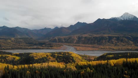 Luftaufnahme,-Alaskische-Landschaft,-Gletscherfluss,-Gelber-Zedernwald-Und-Berggipfel-Am-Herbsttag,-Drohnenaufnahme