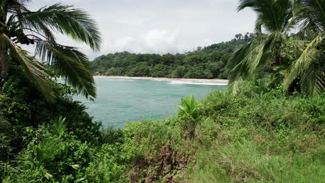 Costa-Pacífica-Tropical-De-Costa-Rica-Con-Una-Pequeña-Isla-De-Palmeras