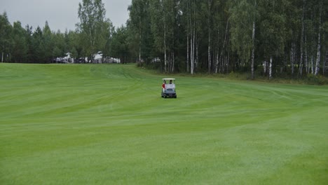 golf cart on a golf course in a forest