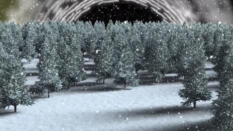 Snow-falling-over-multiple-trees-on-winter-landscape-against-light-trails-spinning