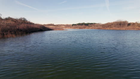 Pond-With-Swimming-Ducks-In-Meijendel-Nature-Reserve,-Wassenaarse-Slag,-Wassenaar-Netherlands