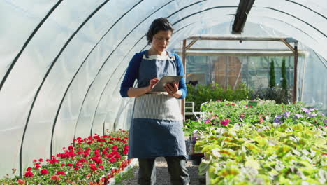 mature woman working in garden center greenhouse holding digital tablet and checking plants