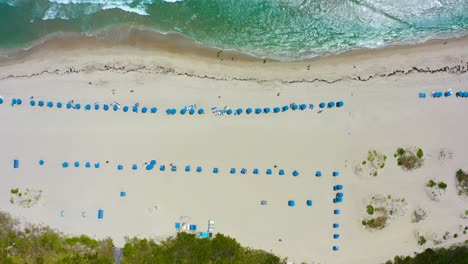 Aerial-drone-shot-looking-straight-down-on-the-Singer-Island-beach-with-umbrellas-and-tourists-as-the-waves-crash-against-the-sand-from-the-Atlantic-Ocean-near-West-Palm-Beach-Florida