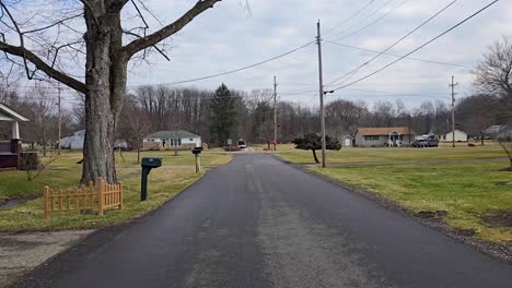 a quiet suburban street with houses, trees, and power lines