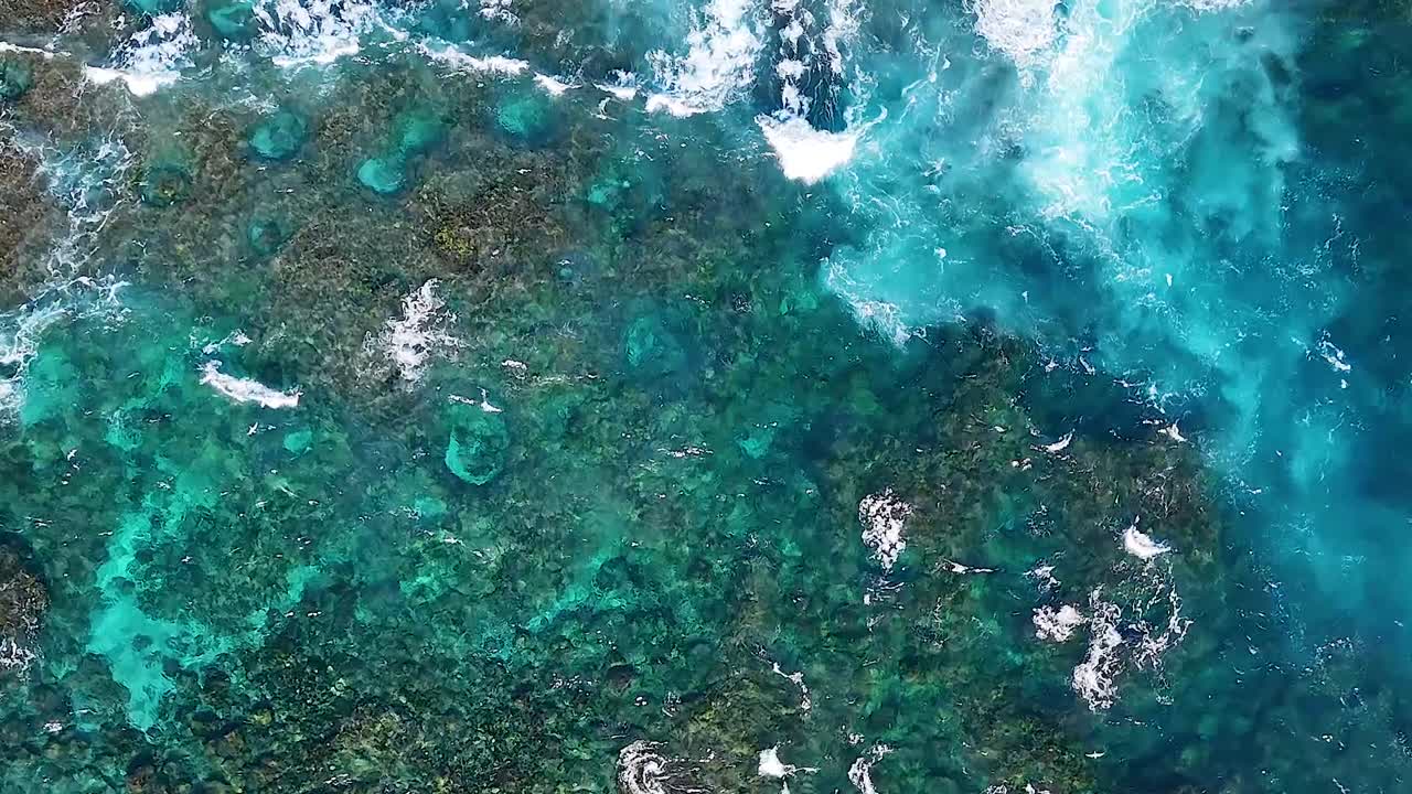 Aerial View of Turquoise Coral Reef and Waves