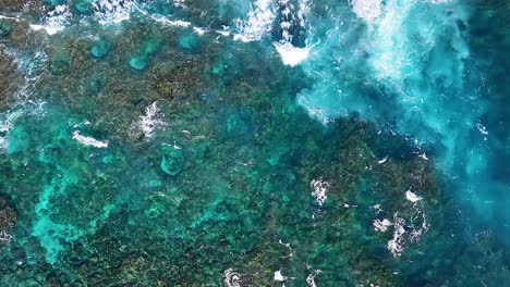 aerial view of turquoise coral reef and waves