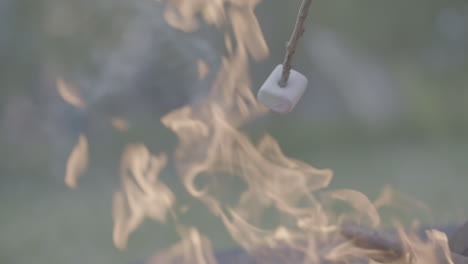 holding marshallows on sticks inside of a camp fire with flames touching in slow motion log