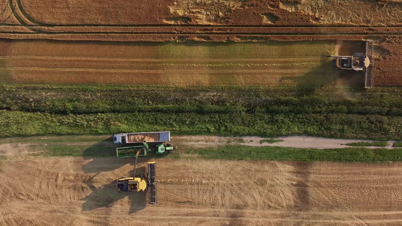 Luftoptagelser med drone af mejetærskere, en traktor og en korntruck, der arbejder under hvedehøsten på en stor landbrugsmark i Letland