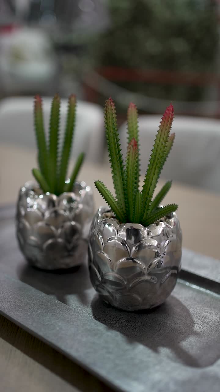 Two green plants in attractive silver pots are displayed on a sleek tray, enhancing the decor of a contemporary space. Ideal for home, office, or cafe interiors