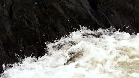 cascada que fluye en el campo