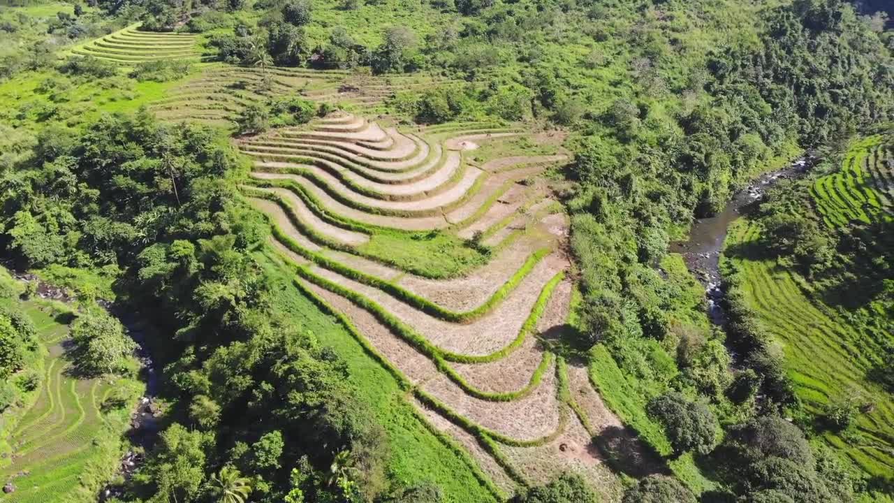 Drone footage shows beautifully curved rice terraces carved along lush green hillside with nearby stream in the Philippines displaying traditional farming techniques and stunning natural landscape