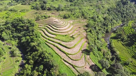 drone footage shows beautifully curved rice terraces carved along lush green hillside with nearby stream in the philippines displaying traditional farming techniques and stunning natural landscape