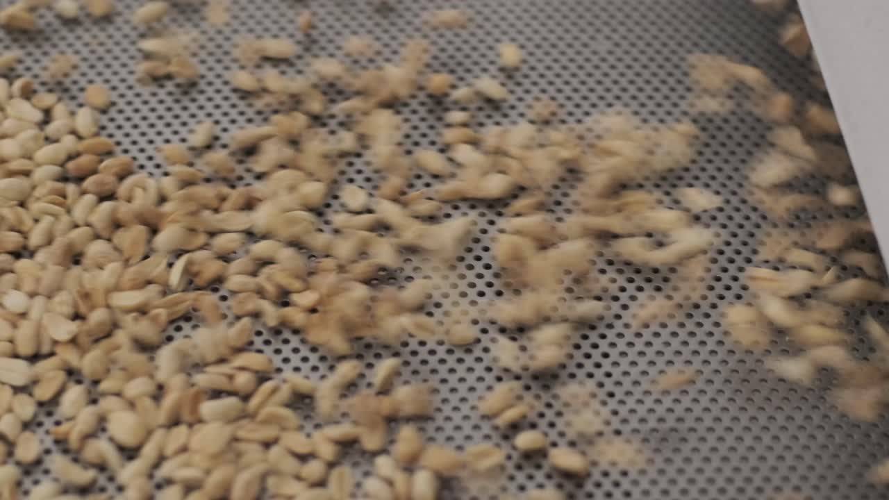 많은 씨, 태양광 씨, 베이킹 기계, 움직이는 긴 태양광씨, 기계에서 나온 음식 생산.