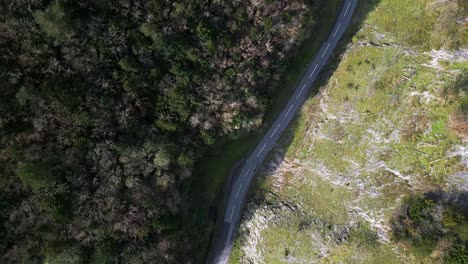 aerial shot over cheddar gorge road, tilting up to reveal village and serene lake.