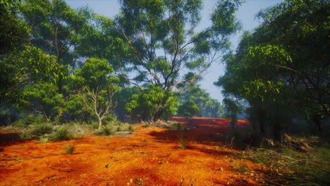 coastal vegetation with trees and shrubs