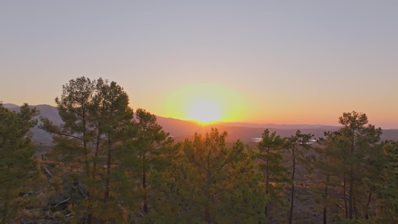 Vista de pájaro de las ruinas de Seleukeia rodeadas de árboles al amanecer