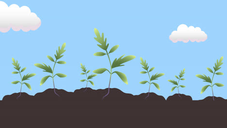 animation of growing plants and blue sky background