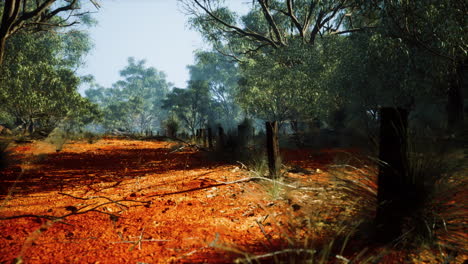 rural-farm-boundary-fencing-in-poor-condition-and-long-dead-dry-grass