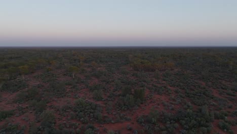 Drohnenclip,-Der-Eine-Abgelegene-Australische-Outback-Landschaft-Mit-Satter-Roter-Erde-Und-Einheimischer-Vegetation-Zeigt,-Mit-Blick-Auf-Den-Horizont