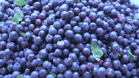 blueberries. wild forest berries. smooth rotation. the most powerful antioxidant, the elimination of radionuclides from the body. antidote effect