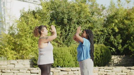 Movimiento-Vertical-De-Mujeres-Gorditas-Multiétnicas-Haciendo-Yoga-En-El-Parque