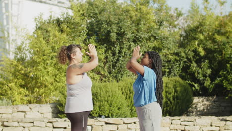 movimiento vertical de mujeres gordas multiétnicas haciendo yoga en el parque