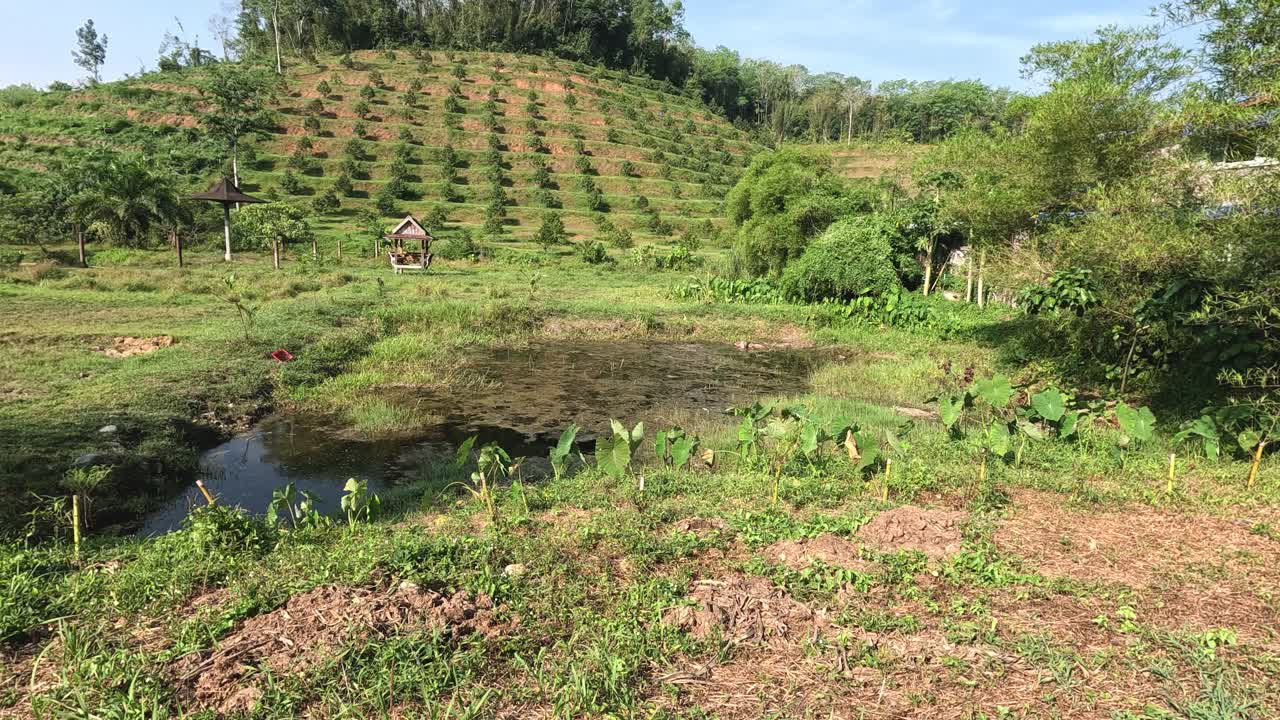 농촌 환경에서 농업 작업의 진행