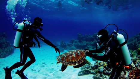 scuba divers interact with sea turtles in coral reef