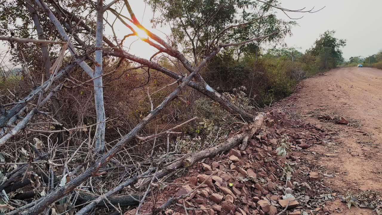Vista ampla de desmatamento na beira da estrada ao longo de uma estrada de terra rural, mostrando galhos de árvores cortados, solo revolvido e remoção de vegetação como parte do desenvolvimento de infraestrutura e expansão de estradas