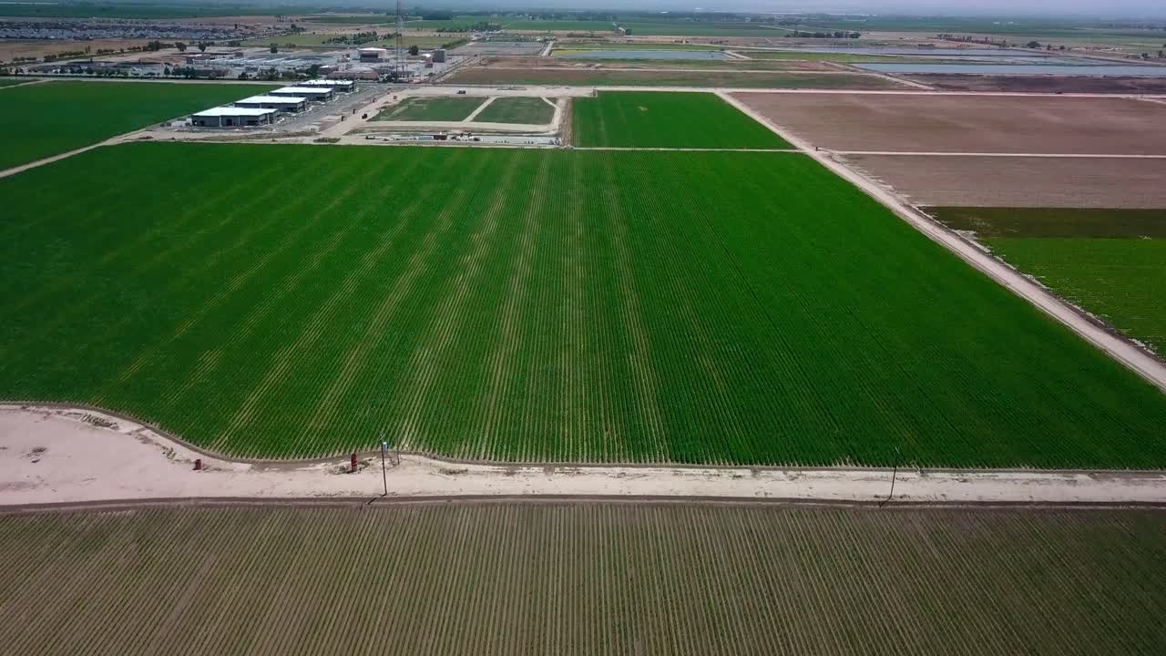 высокая и широкая панорама поля за полем сельскохозяйственных угодий