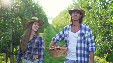 couple harvesting fresh fruit in a sunny orchard