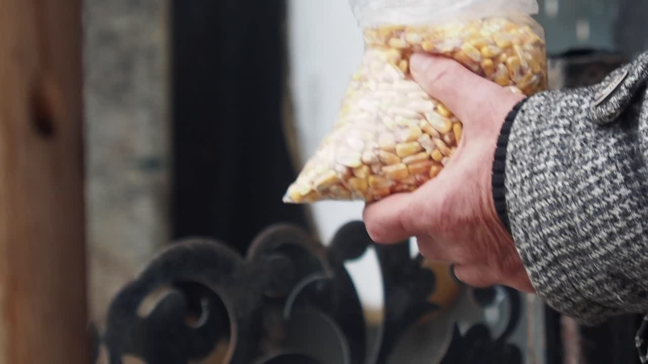 Person holding a bag of corn