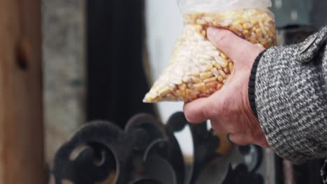 Person holding a bag of corn