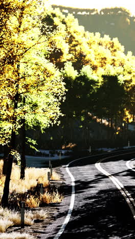 autumn road through the forest