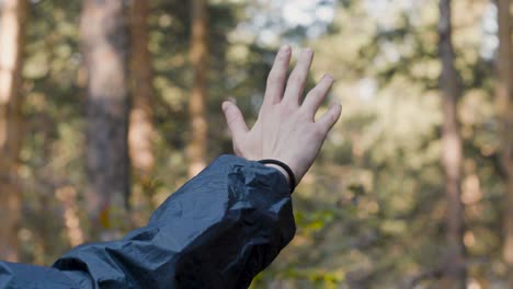 la mano extendida en un bosque