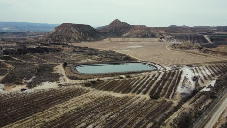aerial view of arid landscape with vineyards and reservoir