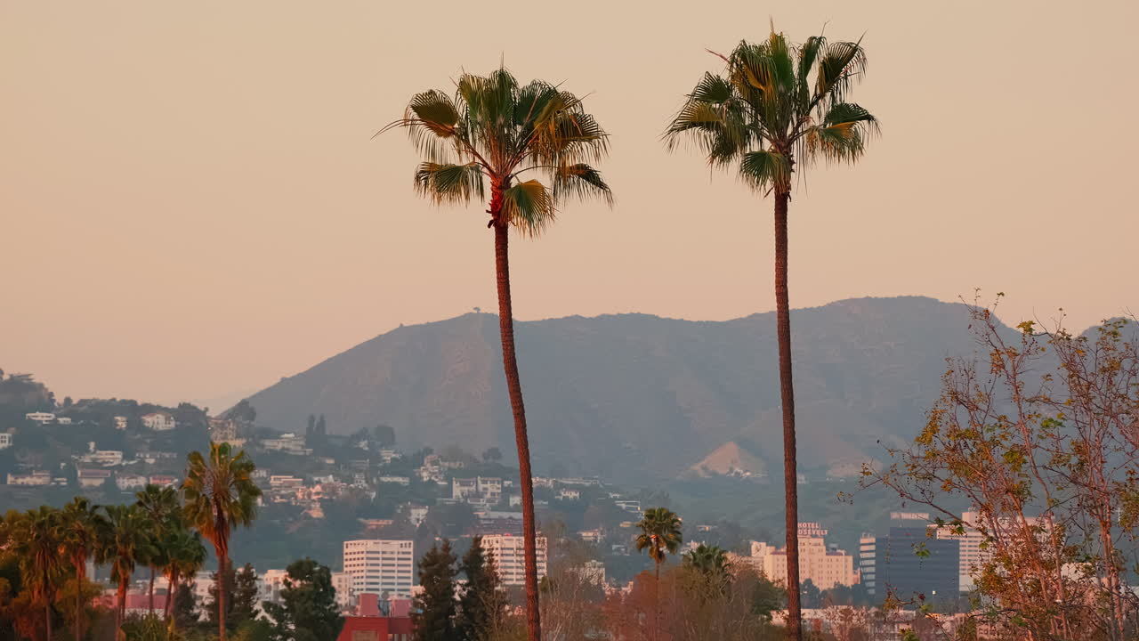 Langzame dolly-in timelapse van zonsondergang in Los Angeles, Californië met palmbomen die zwaaien in de wind en bergen op de achtergrond