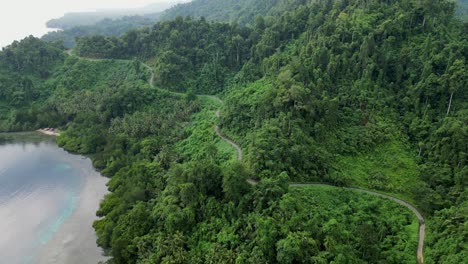 drone flying over an island jungle with a narrow winding road along the coast line